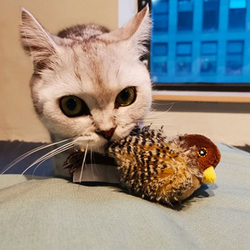 Fladdervriend – Levensechte Vogel voor Eindeloos Kattenplezier