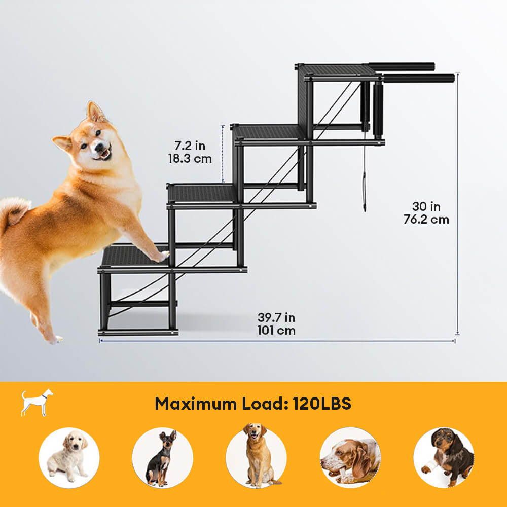 BuddyBoost – De veilige instap voor elke hond