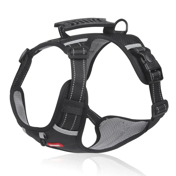 GripBuddy – Comfort voor je hond, controle voor jou