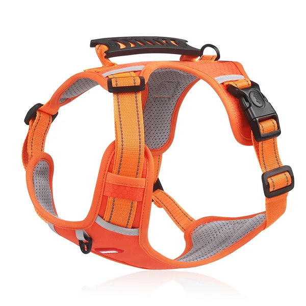 GripBuddy – Comfort voor je hond, controle voor jou