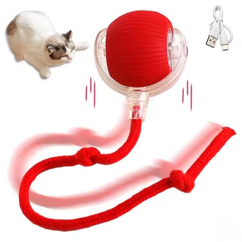 JachtJoy™ – Voor huisdieren die jagen, springen en lachen