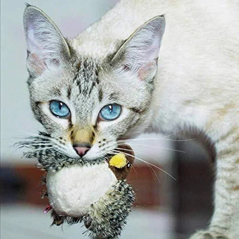 PurrTweet - Interactief tsjilpend vogelspeeltje voor katten