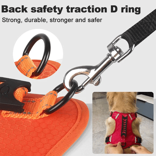 GripBuddy – Comfort voor je hond, controle voor jou