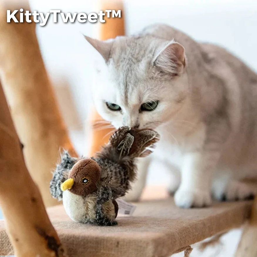 50% KORTING | KittyTweet™ - Gesimuleerde vogel met geluiden [Laatste dag korting]