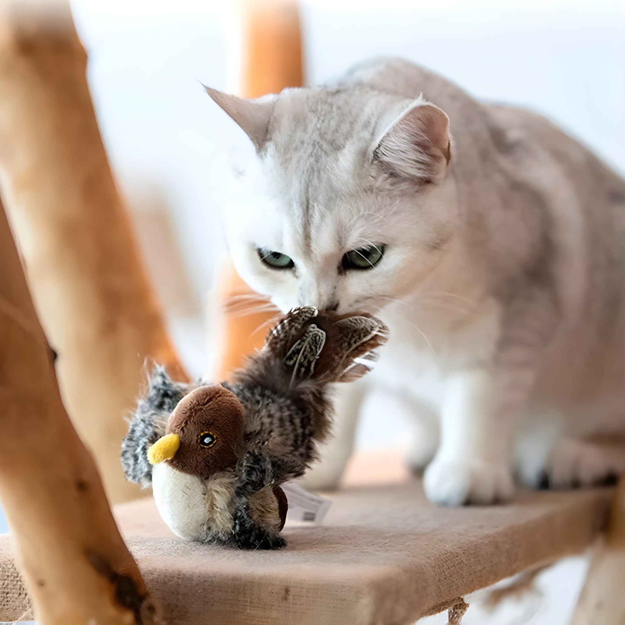 Fladdervriend – Levensechte Vogel voor Eindeloos Kattenplezier