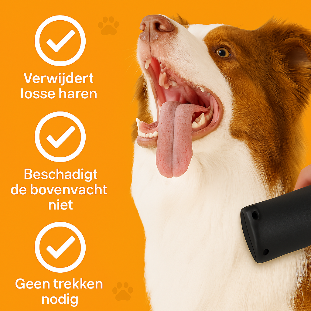 Mibblo – De professionele borstel voor jouw huisdier