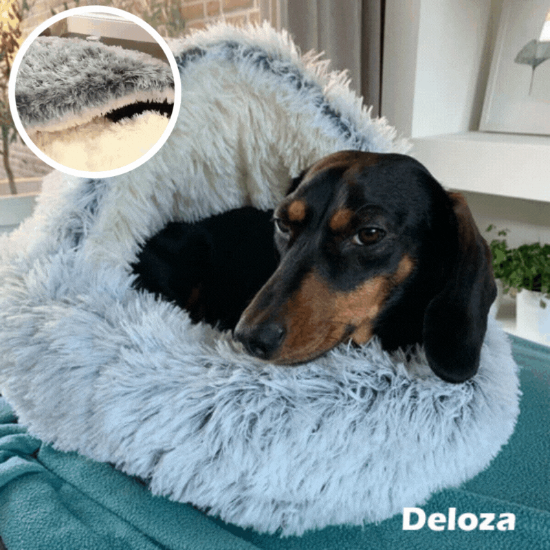 50% KORTING | PurrRest™ - Comfortabel Bed voor Huisdieren [Laatste Dag Korting]
