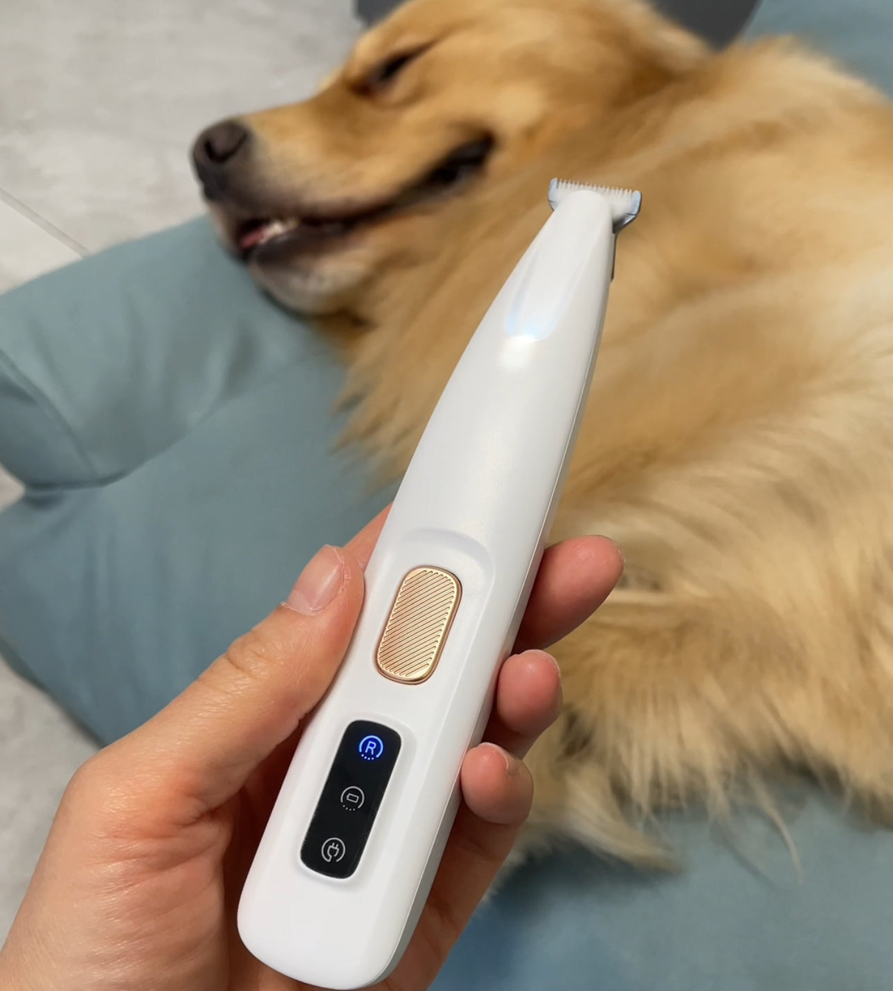 PawfectTrim – De perfecte vachtverzorging voor je huisdier!