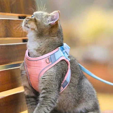 50% KORTING | CatGuard - Kattentuigje met reflecterende strepen [Laatste dag korting]