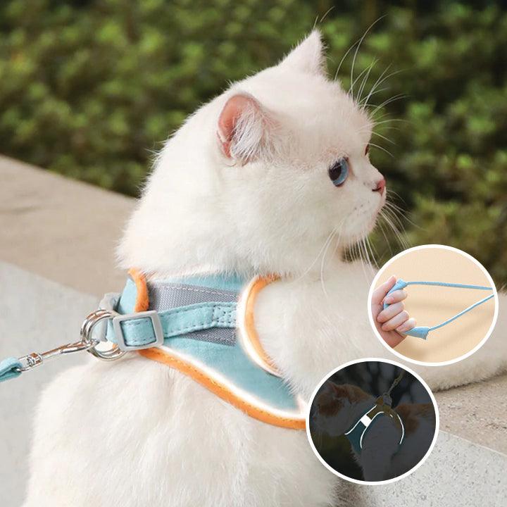 50% KORTING | CatGuard - Kattentuigje met reflecterende strepen [Laatste dag korting]