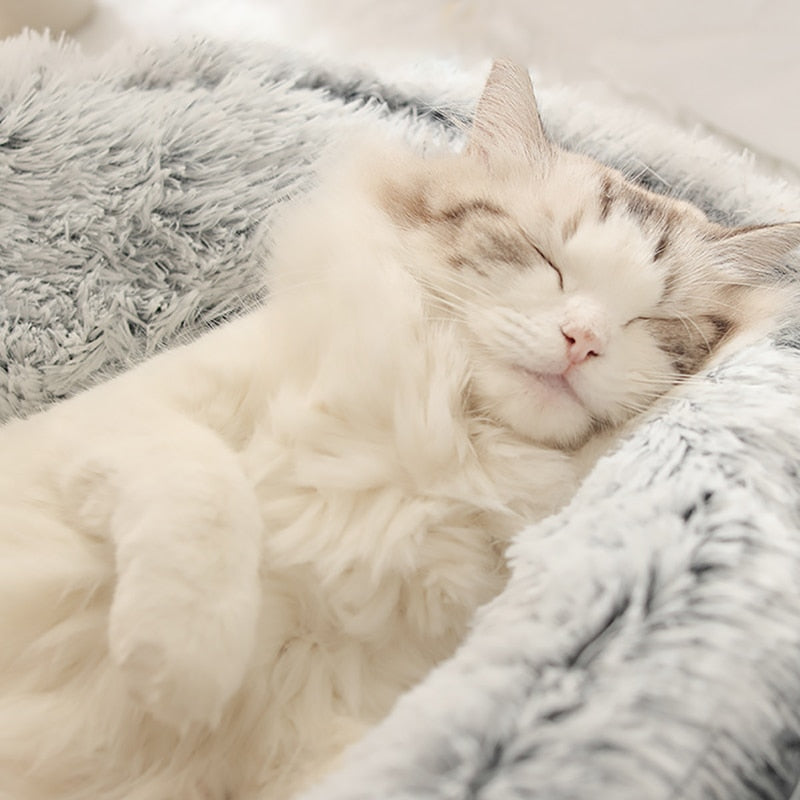 KittyCove™ - Slaapmand voor je kat [Laatste dag korting]