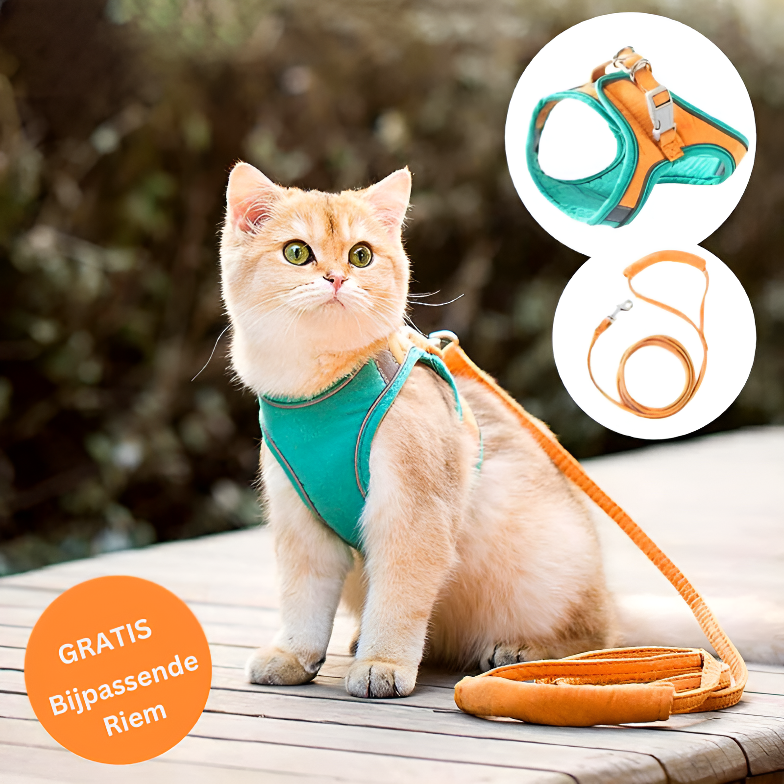50% KORTING | CatGuard - Kattentuigje met reflecterende strepen [Laatste dag korting]