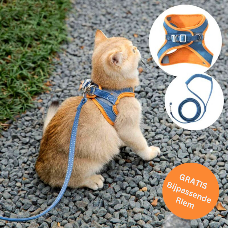 50% KORTING | CatGuard - Kattentuigje met reflecterende strepen [Laatste dag korting]