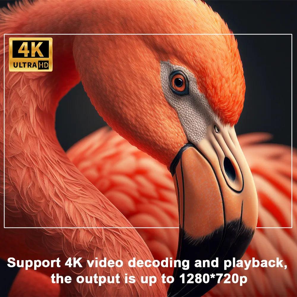 Vivid 4K™ | Muur projector