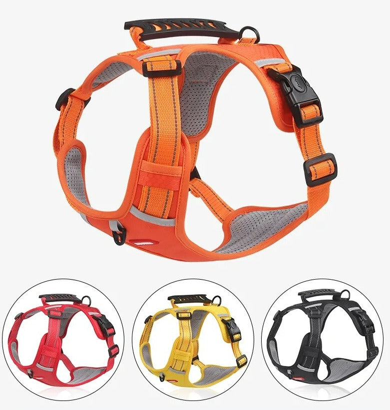 GripBuddy – Comfort voor je hond, controle voor jou