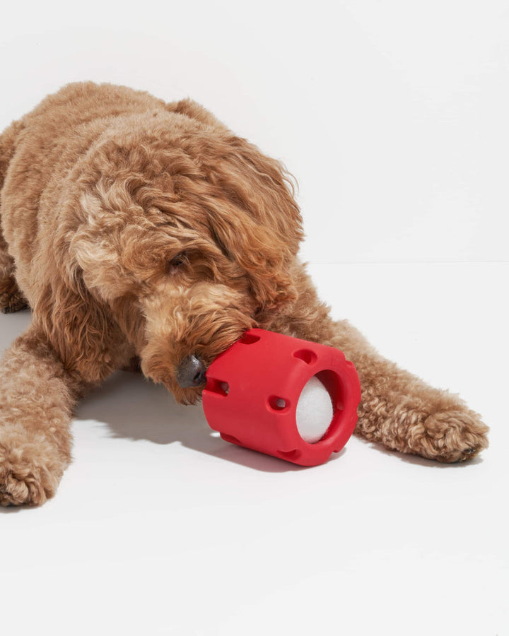 50% KORTING | FetchFun™ - Tennis kauwspeeltje voor honden [Laatste dag korting]