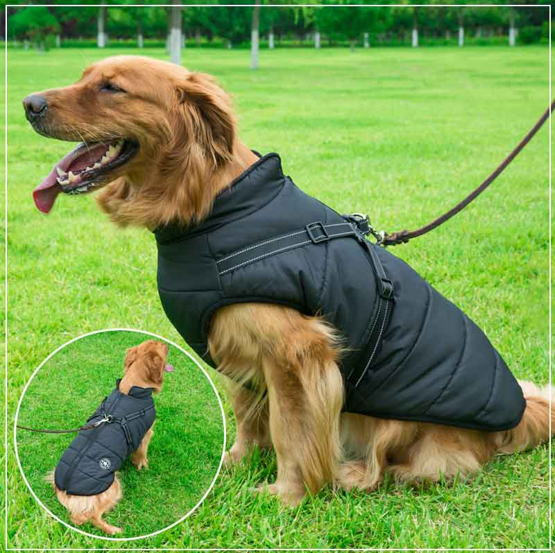 PupGuard™ - Winter hondenjas met harnas [Laatste dag korting]