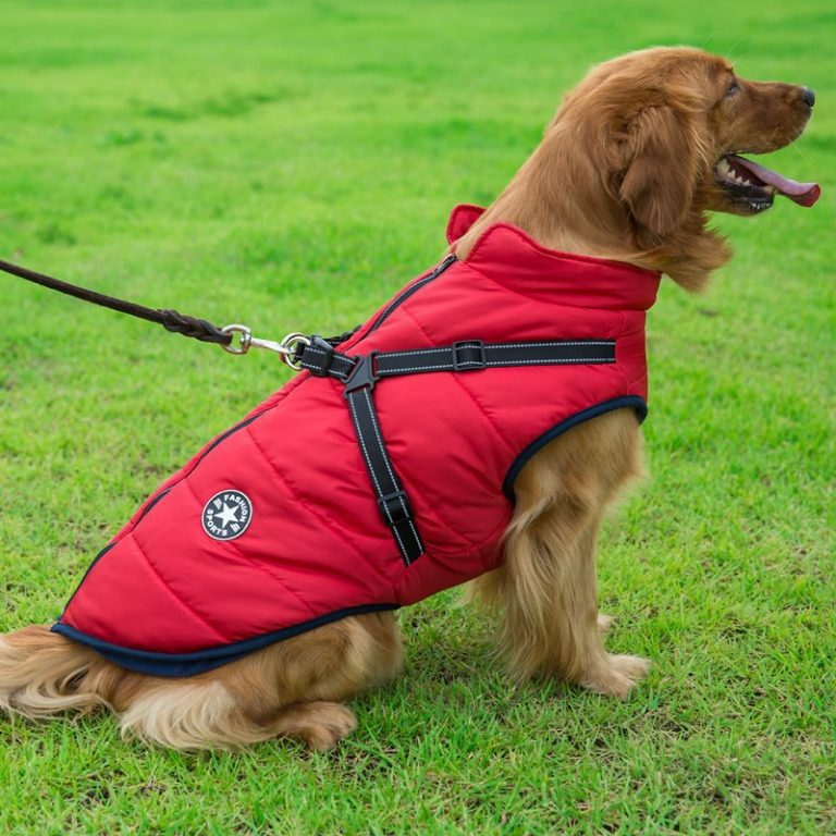 PupGuard™ - Winter hondenjas met harnas [Laatste dag korting]