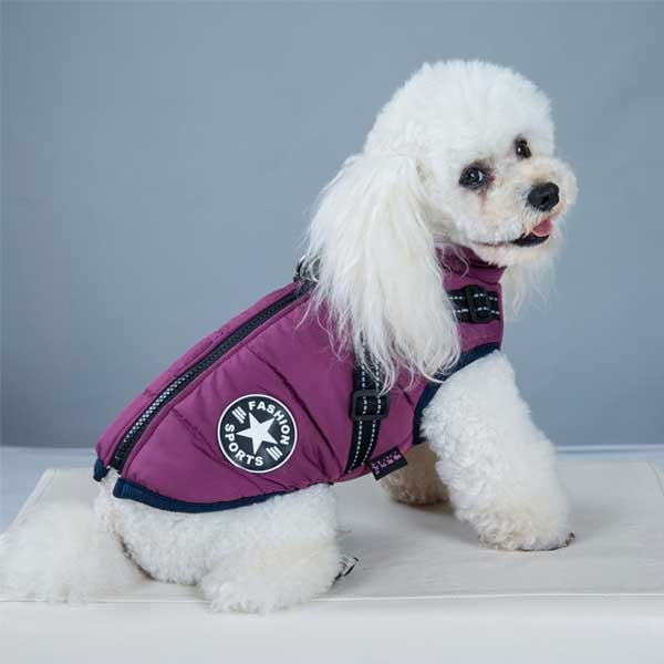 PupGuard™ - Winter hondenjas met harnas [Laatste dag korting]