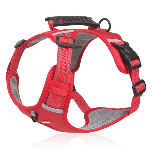 GripBuddy – Comfort voor je hond, controle voor jou