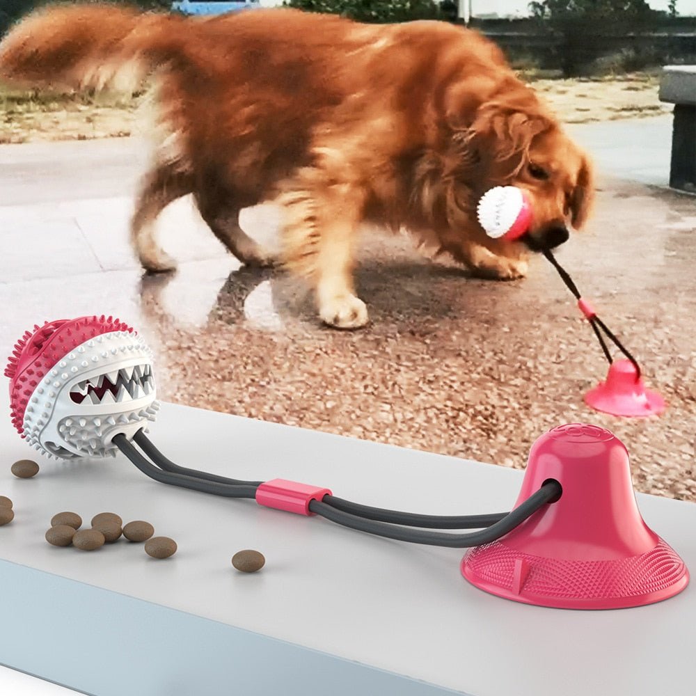 BarkFun - Interactief hondenspeelgoed [Laatste dag korting]