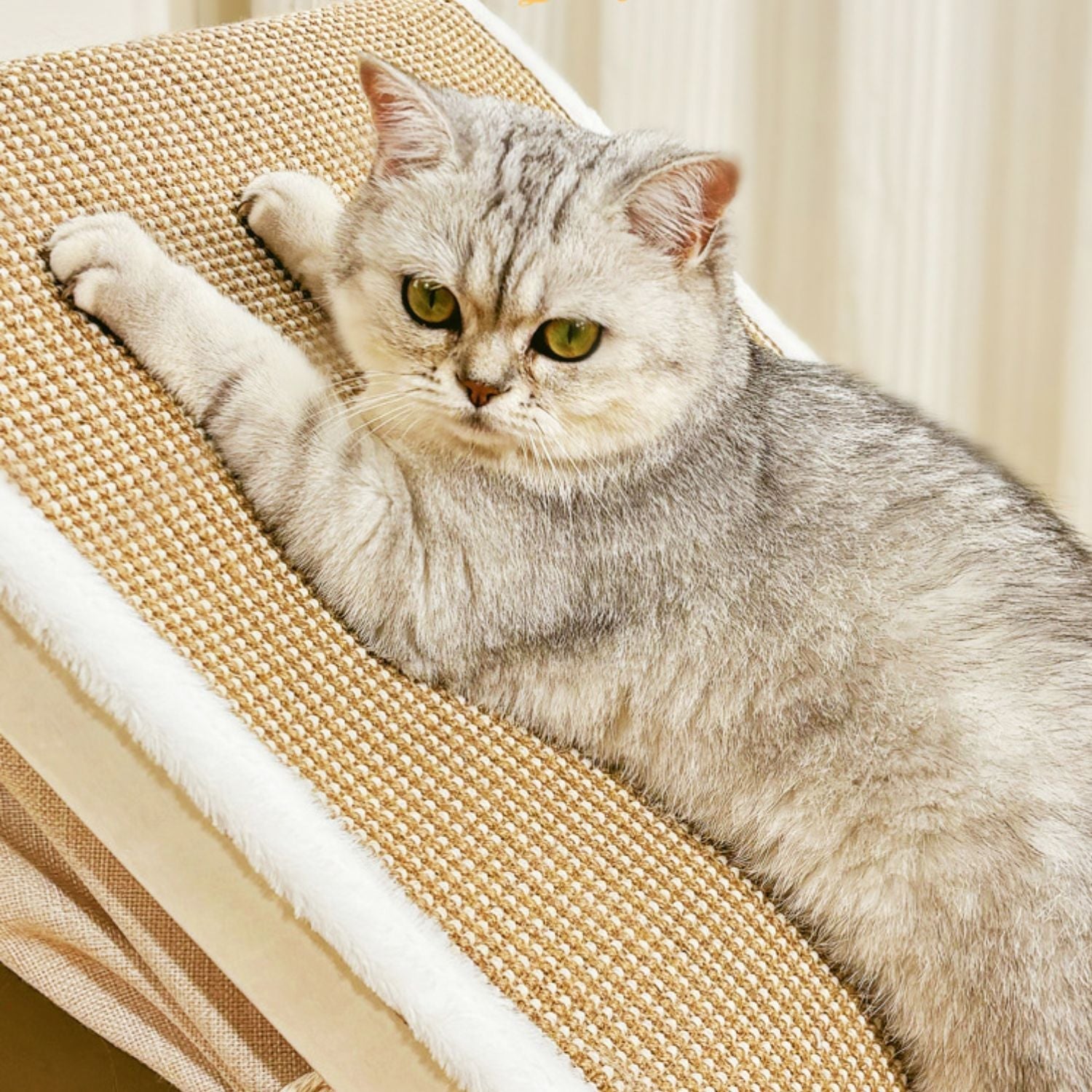 WhiskerVilla - Knusse kattenvilla met sisal krabdak